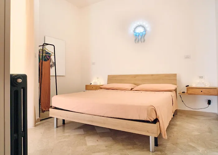 Conchiglia & Medusa *