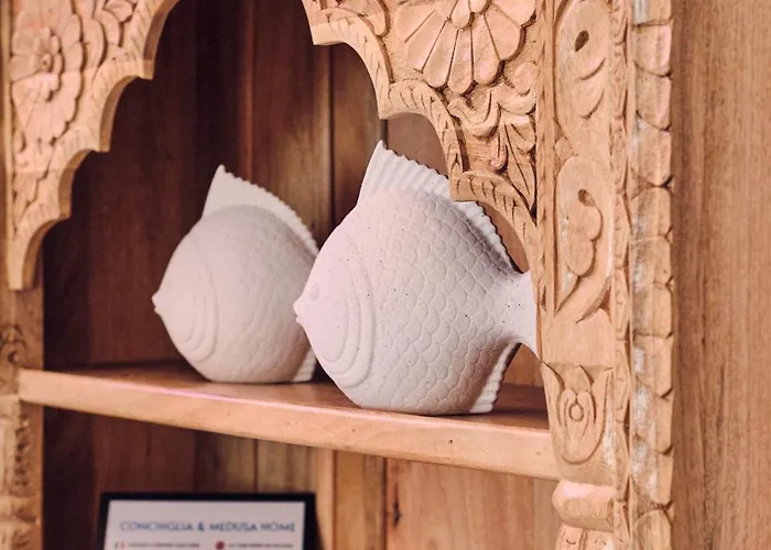 Conchiglia & Medusa アパート