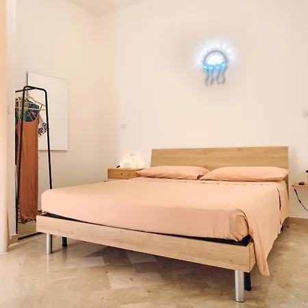 Conchiglia & Medusa *